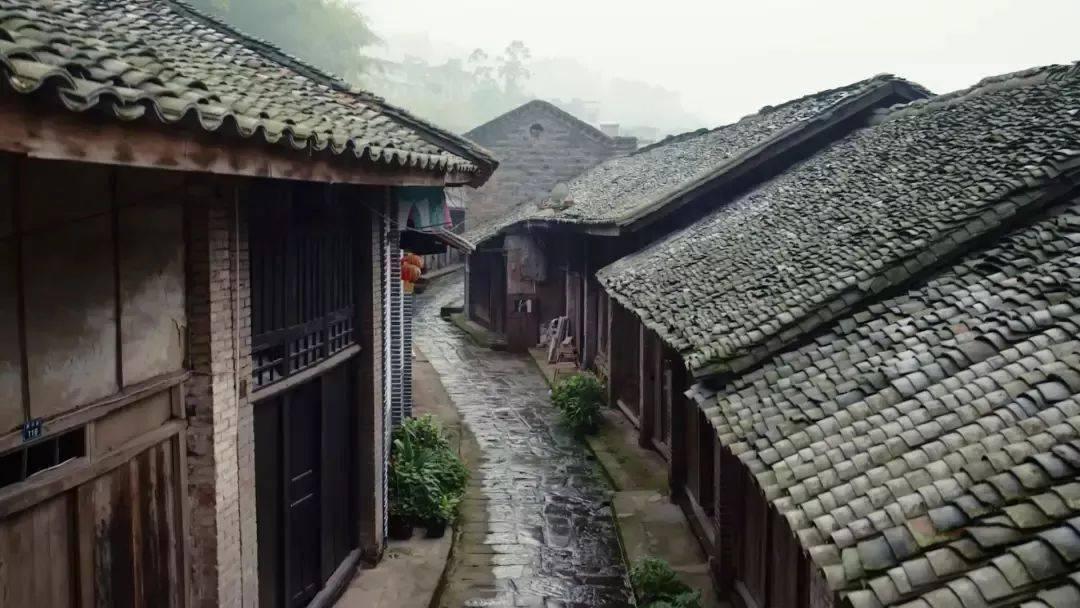 新鲜的豆渣怎么弄好吃游戏画面